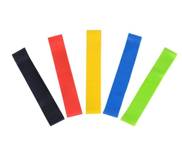 FITVITA Empowering Your Fitness Journey