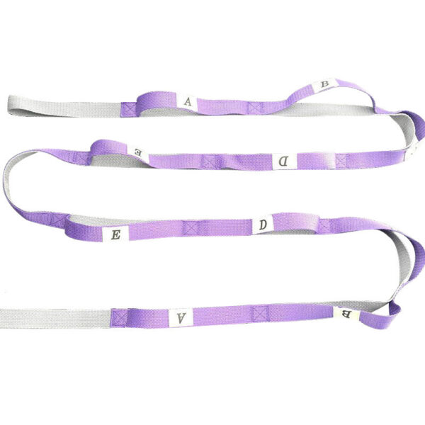 FITVITA Empowering Your Fitness Journey