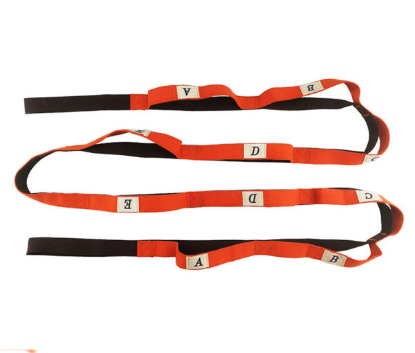 FITVITA Empowering Your Fitness Journey