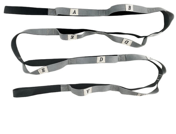 FITVITA Empowering Your Fitness Journey