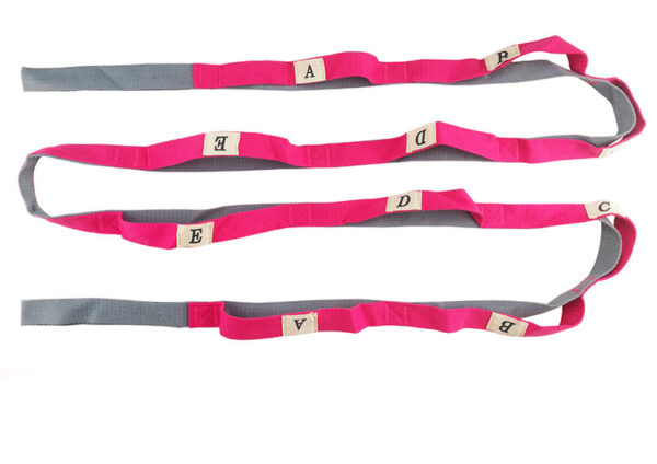 FITVITA Empowering Your Fitness Journey