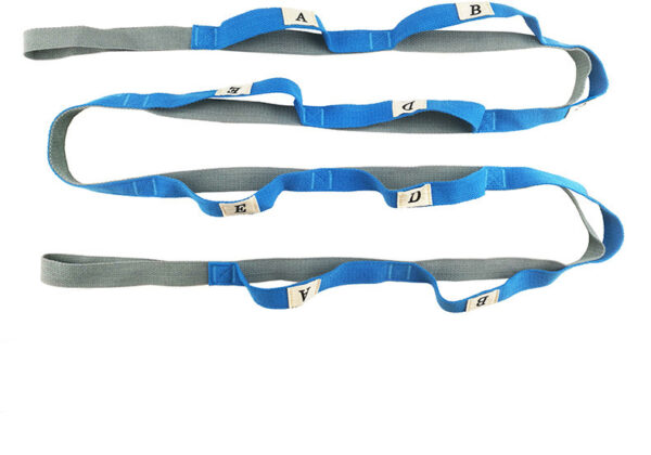 FITVITA Empowering Your Fitness Journey