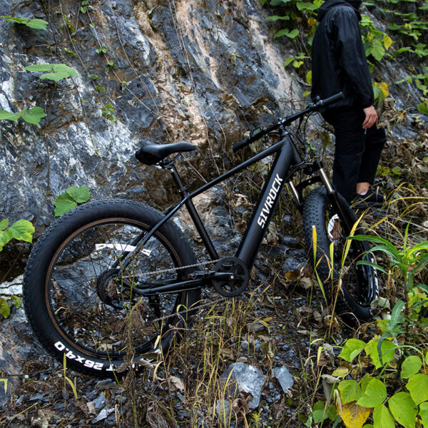 FITVITA Empowering Your Fitness Journey