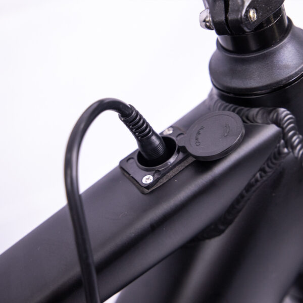 FITVITA Empowering Your Fitness Journey