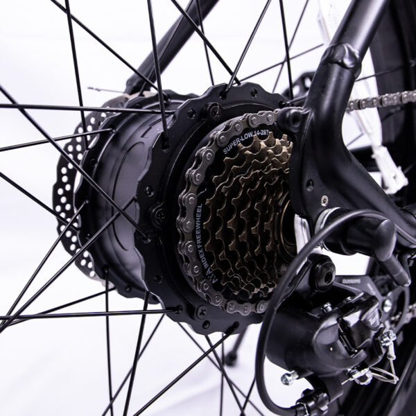 FITVITA Empowering Your Fitness Journey