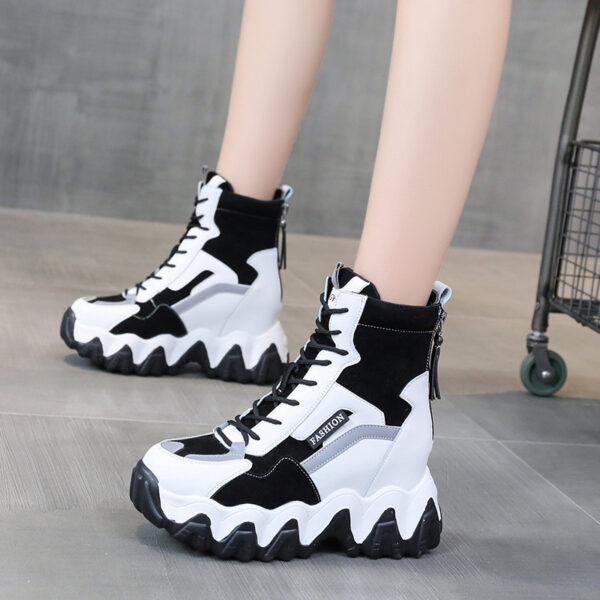 FITVITA Empowering Your Fitness Journey