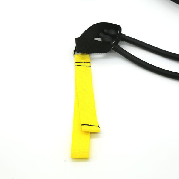 FITVITA Empowering Your Fitness Journey