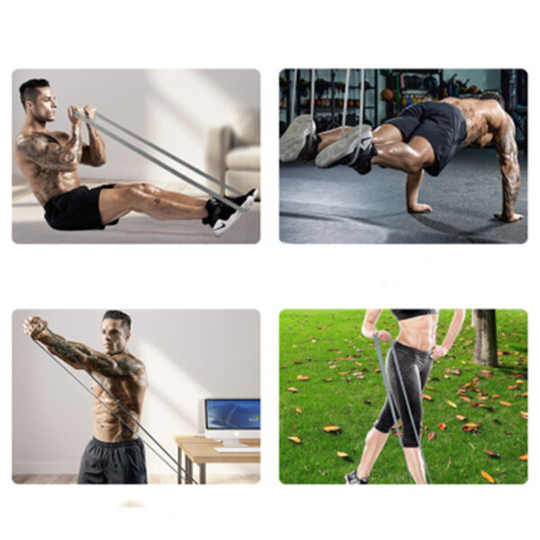 FITVITA Empowering Your Fitness Journey