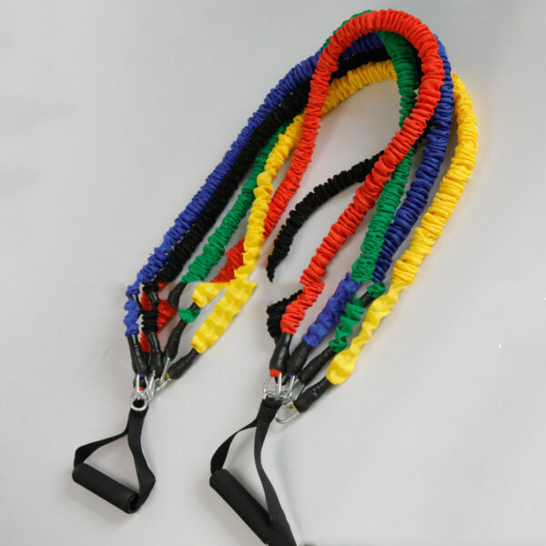 FITVITA Empowering Your Fitness Journey