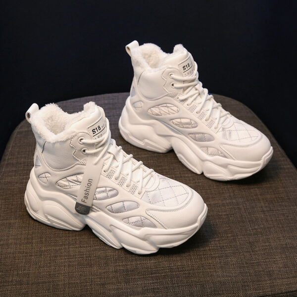 FITVITA Empowering Your Fitness Journey