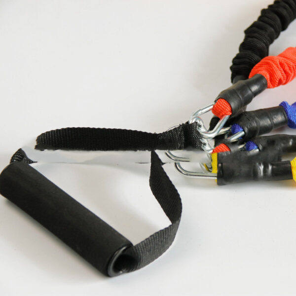 FITVITA Empowering Your Fitness Journey