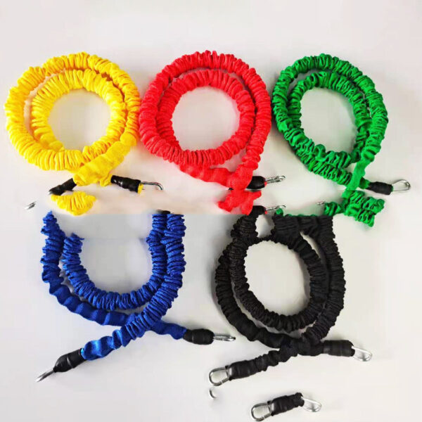 FITVITA Empowering Your Fitness Journey