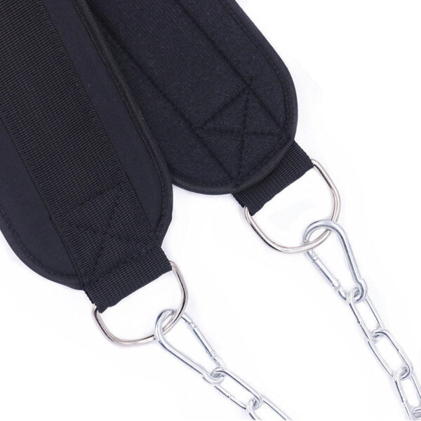 FITVITA Empowering Your Fitness Journey