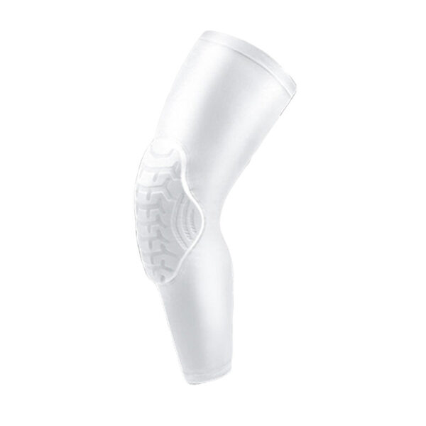 FITVITA Empowering Your Fitness Journey