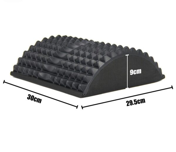 FITVITA Empowering Your Fitness Journey