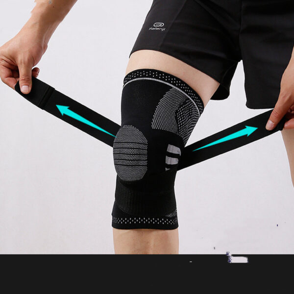 FITVITA Empowering Your Fitness Journey