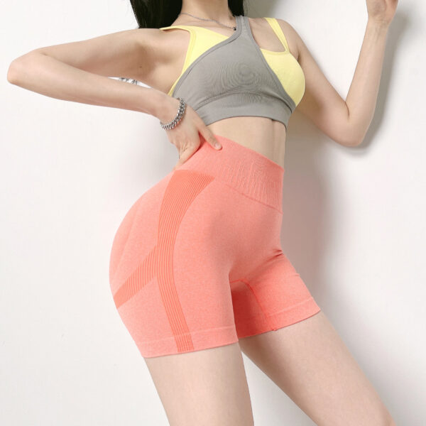 FITVITA Empowering Your Fitness Journey