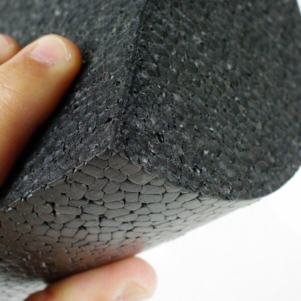 FITVITA Empowering Your Fitness Journey