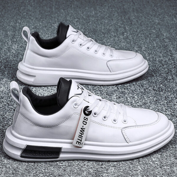 FITVITA Empowering Your Fitness Journey