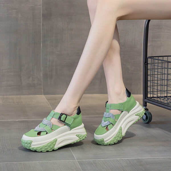 FITVITA Empowering Your Fitness Journey