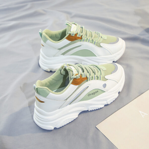 FITVITA Empowering Your Fitness Journey