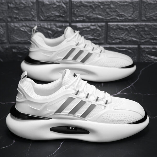 FITVITA Empowering Your Fitness Journey