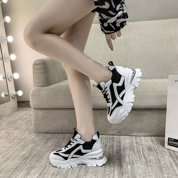 FITVITA Empowering Your Fitness Journey