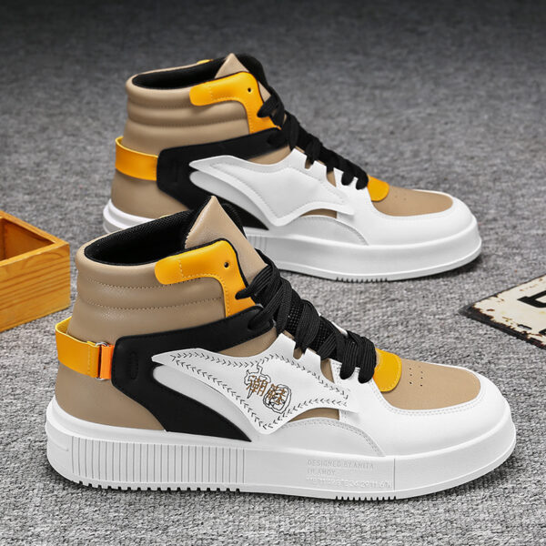 FITVITA Empowering Your Fitness Journey