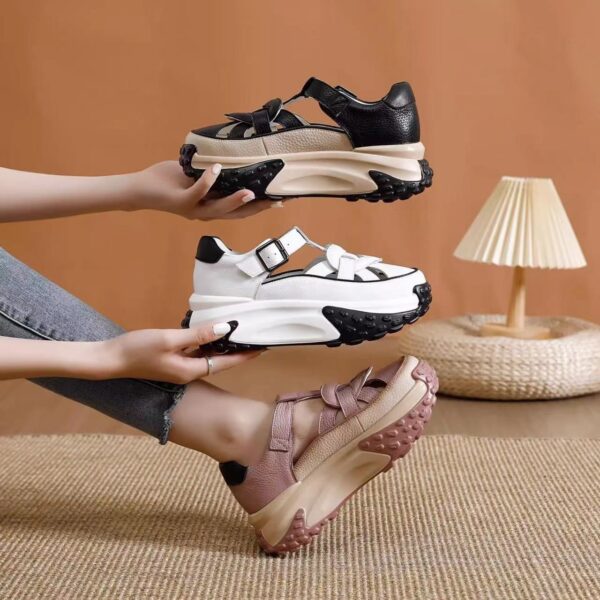 FITVITA Empowering Your Fitness Journey