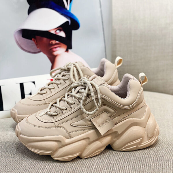 FITVITA Empowering Your Fitness Journey