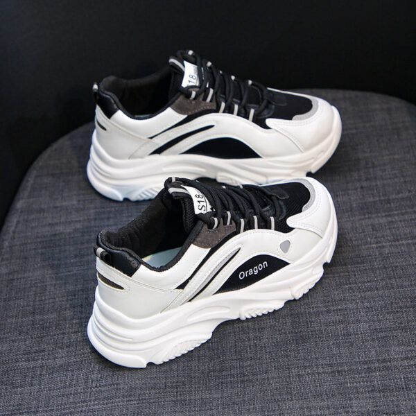 FITVITA Empowering Your Fitness Journey