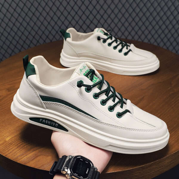 FITVITA Empowering Your Fitness Journey