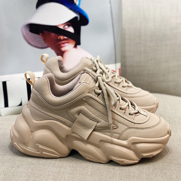 FITVITA Empowering Your Fitness Journey