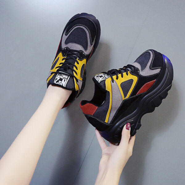 FITVITA Empowering Your Fitness Journey