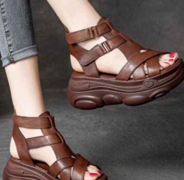 FITVITA Empowering Your Fitness Journey