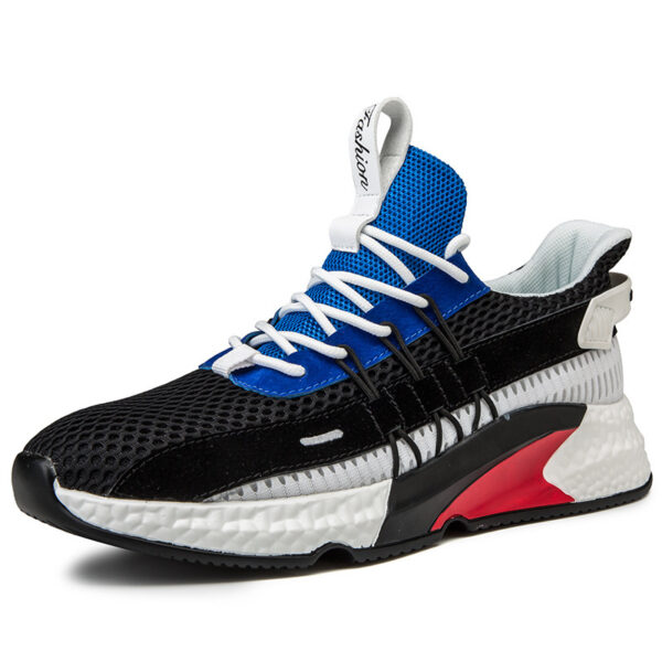 FITVITA Empowering Your Fitness Journey