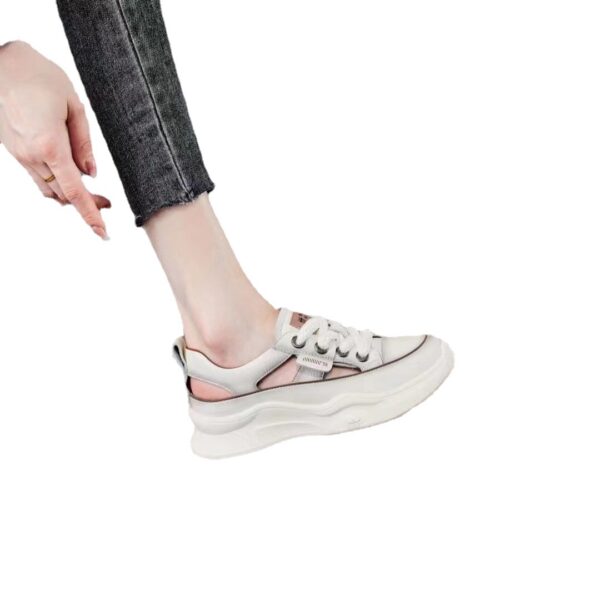 FITVITA Empowering Your Fitness Journey