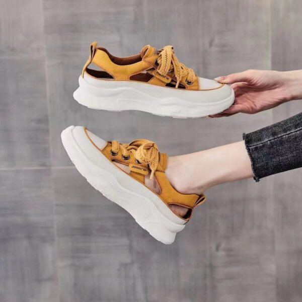 FITVITA Empowering Your Fitness Journey