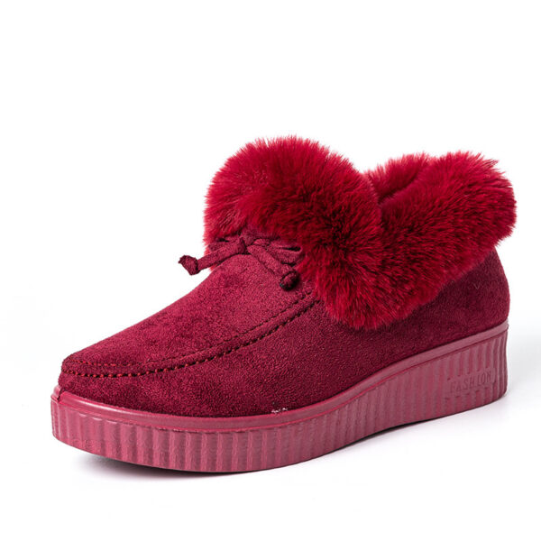 FITVITA Empowering Your Fitness Journey