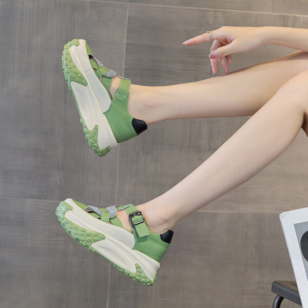 FITVITA Empowering Your Fitness Journey