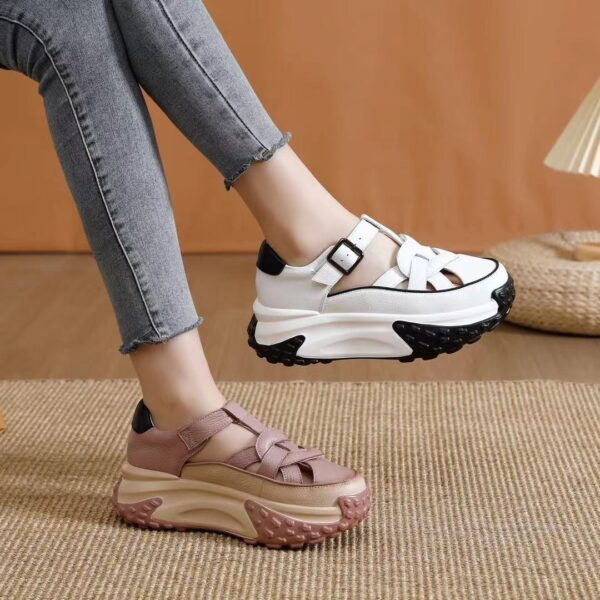 FITVITA Empowering Your Fitness Journey