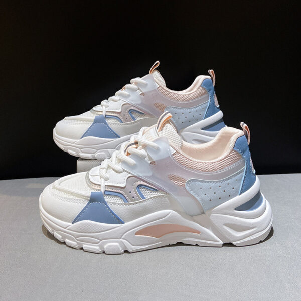 FITVITA Empowering Your Fitness Journey