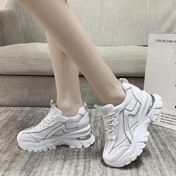 FITVITA Empowering Your Fitness Journey