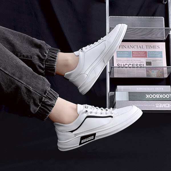 FITVITA Empowering Your Fitness Journey