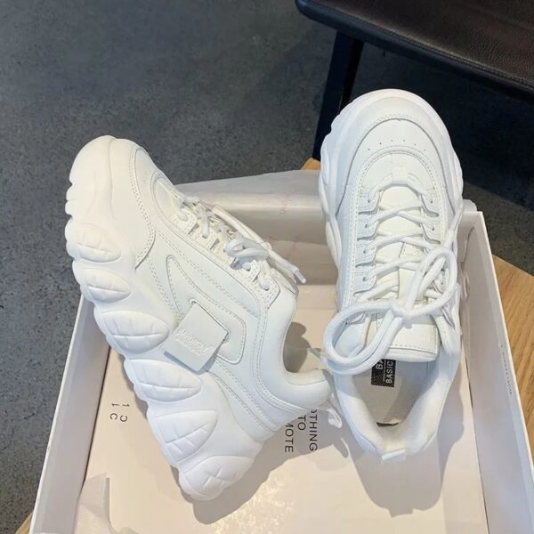 FITVITA Empowering Your Fitness Journey