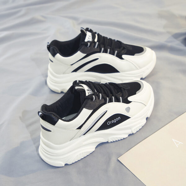 FITVITA Empowering Your Fitness Journey