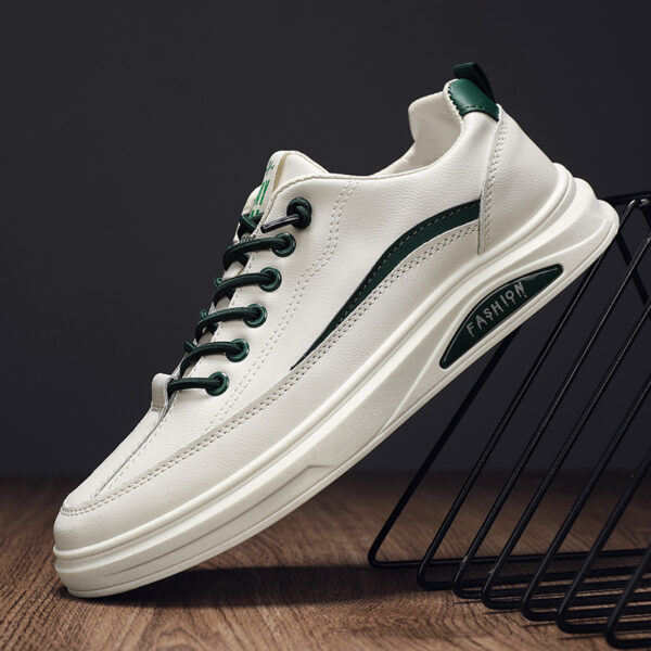 FITVITA Empowering Your Fitness Journey