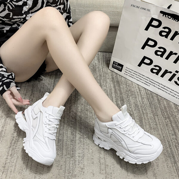 FITVITA Empowering Your Fitness Journey