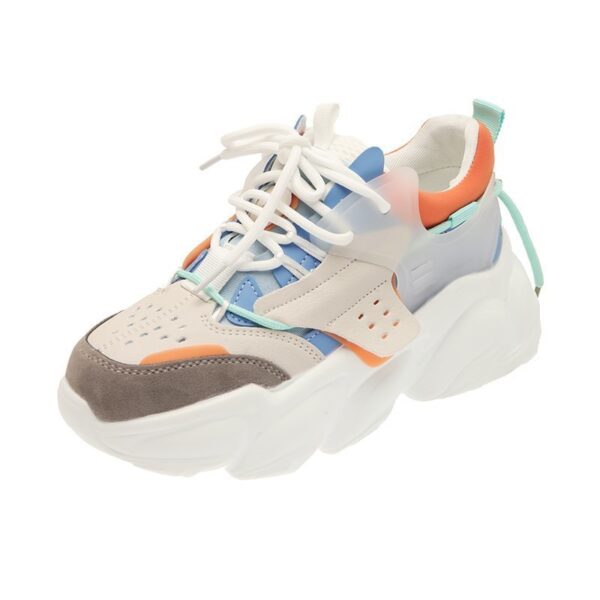 FITVITA Empowering Your Fitness Journey