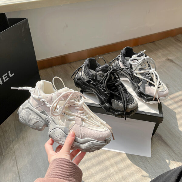 FITVITA Empowering Your Fitness Journey